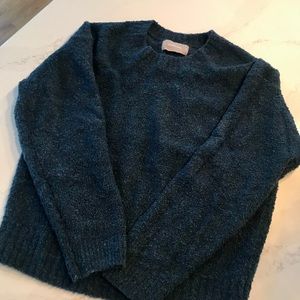 Everlane blue teddy sweater size medium like new